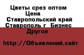 Цветы срез оптом › Цена ­ 15 - Ставропольский край, Ставрополь г. Бизнес » Другое   